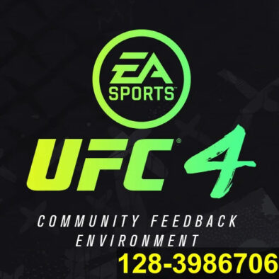 UFC 4