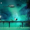 hollow knight