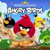 angry birds