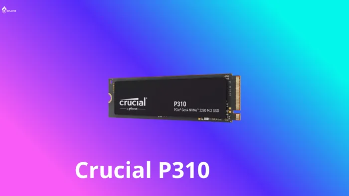 Crucial P310