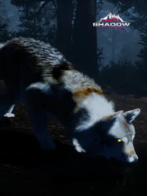 Κυκλοφορίες