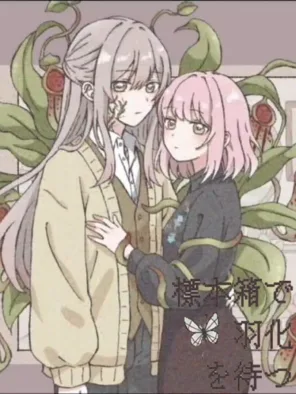 Κυκλοφορίες